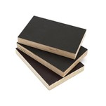 Papan Lapis Berhadapan Filem Birch